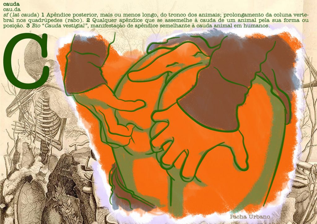 Cauda - postal colecionável da série Dicionário Erótico de Teratologia.