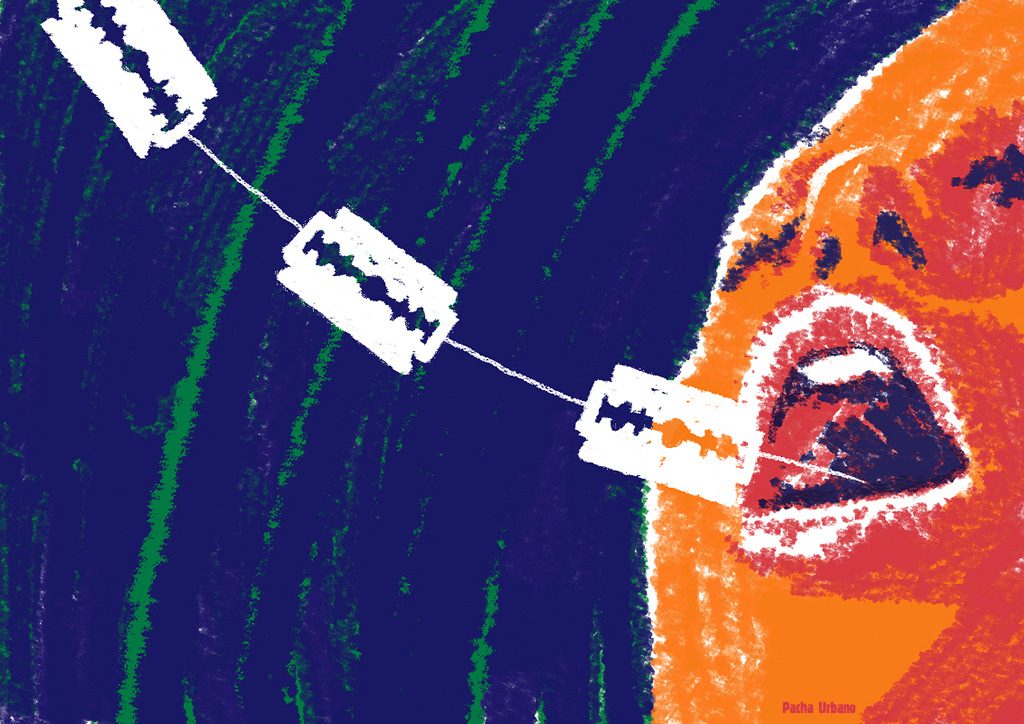 Objeto Direto - capa do livro Dias roucos e vontades absurdas, de Vivian Pizzinga.